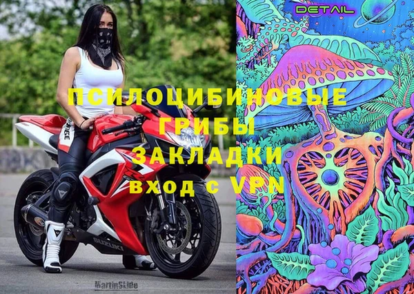 бошки Нея