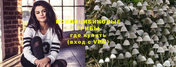 твердый Нефтегорск