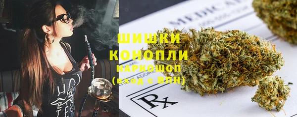 бошки Нея