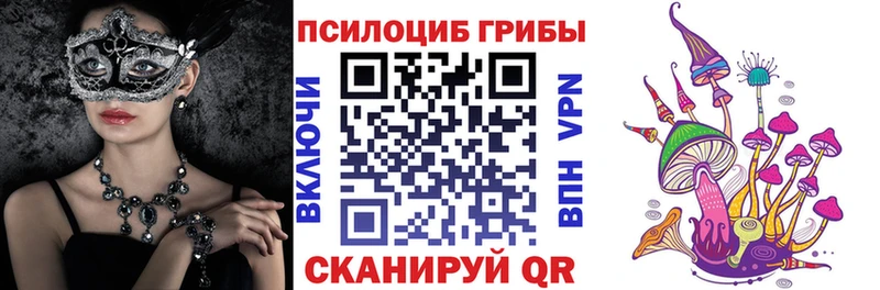 Псилоцибиновые грибы GOLDEN TEACHER  Шали 