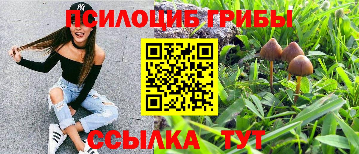 Галлюциногенные грибы Psilocybe Шали