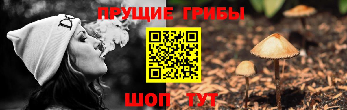 Галлюциногенные грибы Magic Shrooms  как найти закладки  Шали  Вход с VPN 