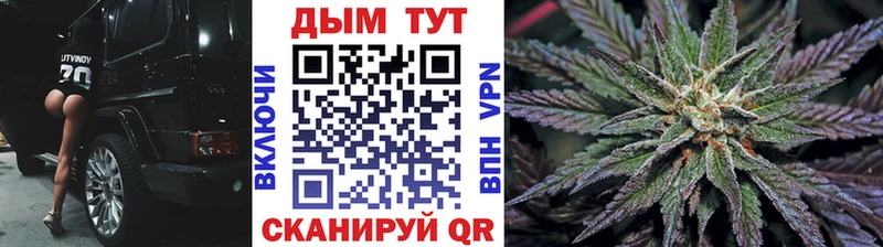 Марихуана SATIVA & INDICA  hydra вход  Шали 
